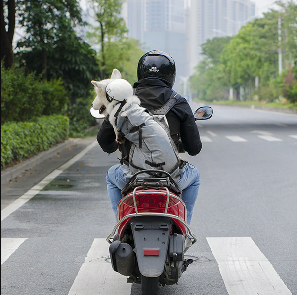 Dog Backpack Sack Carrier