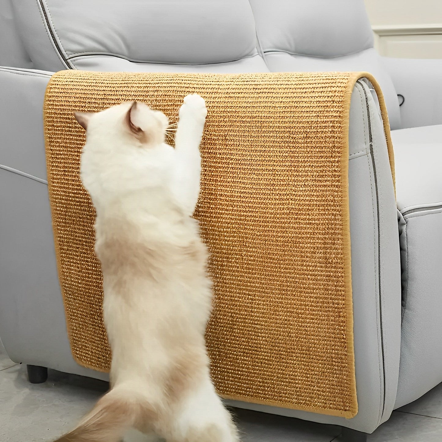 Cat Scratcher